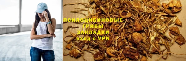 ГАЛЛЮЦИНОГЕННЫЕ ГРИБЫ Алексеевка