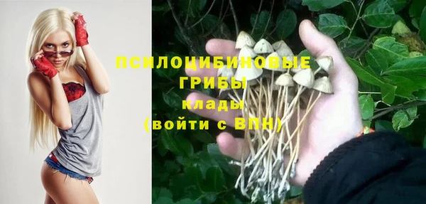 a pvp Алексин