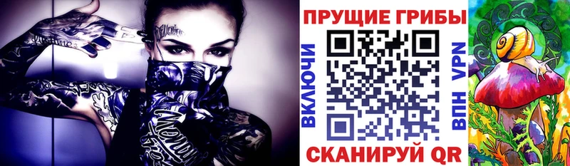 где купить наркоту  Миасс  Галлюциногенные грибы Psilocybe 