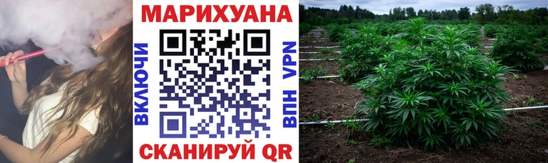 дарнет шоп  Миасс  Бошки Шишки THC 21% 